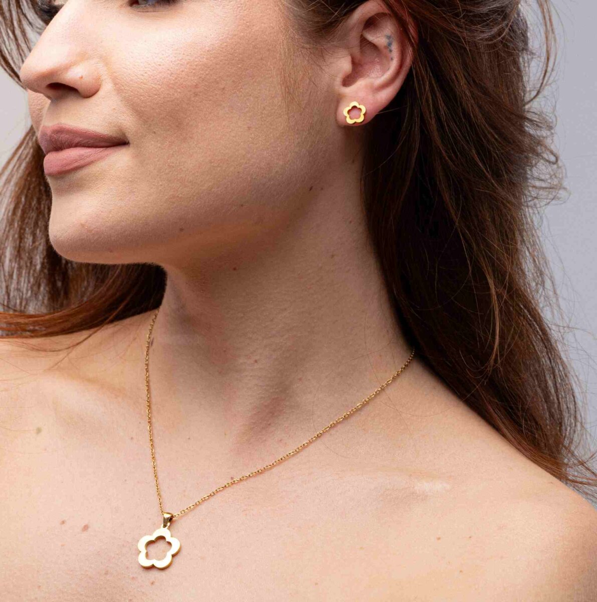 SHINE model
