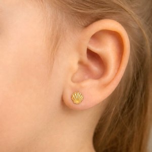 shell zl